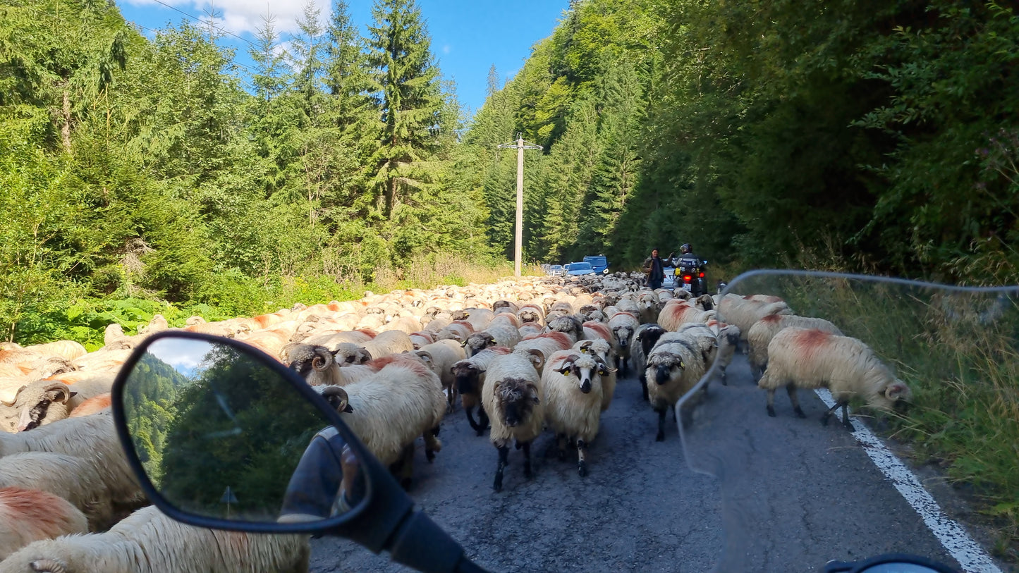 Mit dem Motorrad nach Rumänien GPX