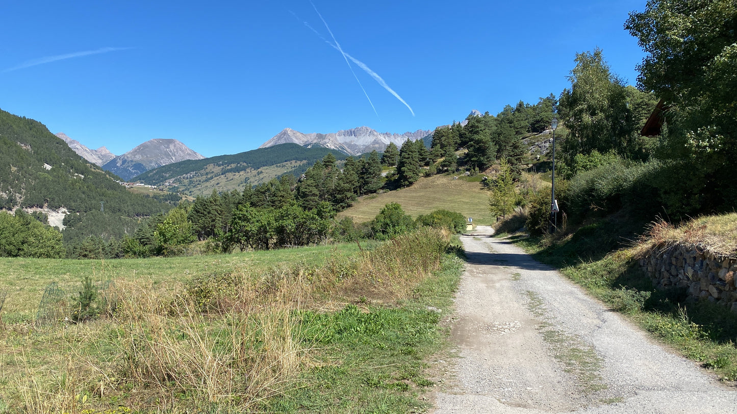 Route de grand alpes & Route Napoleon GPX